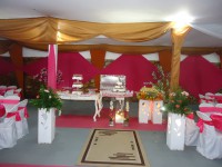 /album/galeria-de-fotos1/dsc06239-jpg/