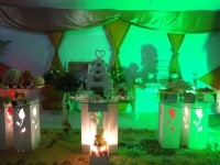 /album/galeria-de-fotos1/dsc06507-jpg/