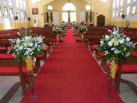 /album/galeria-de-fotos1/sam-2060-jpg/